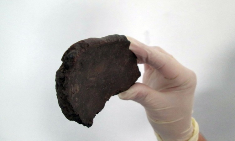 Ceramic fragment neolithic