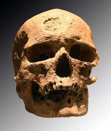 Cro Magnon skull. Currently located in Musée de l'Homme, Paris