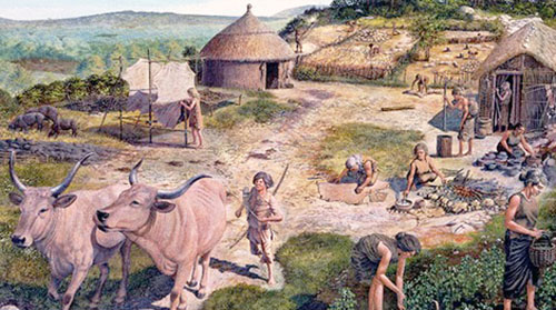 Division of labor in Neolithic period reconstruction