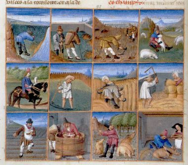 Agricultural calendar from a manuscript of Pietro de' Crescenzi 