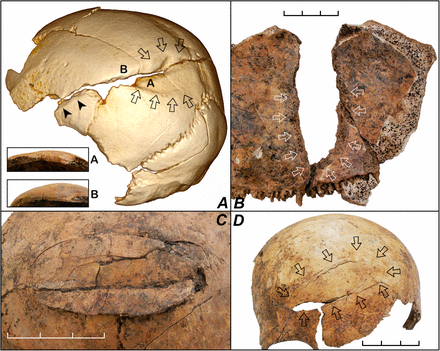 Mass grave from neolithic period near province Hessen (Germany) reveals collective violence