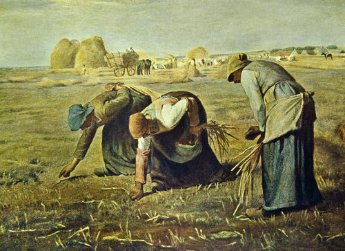 Example of medieval farming