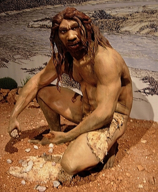 Model of Homo Heidelbergensis. Source of image: www.flickr.com/photos/jlmaral/10233446/in/photostream/