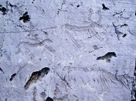 Engraving hunting Scene of deers in Valcamonica Valley. Foto: Luca Giarelli