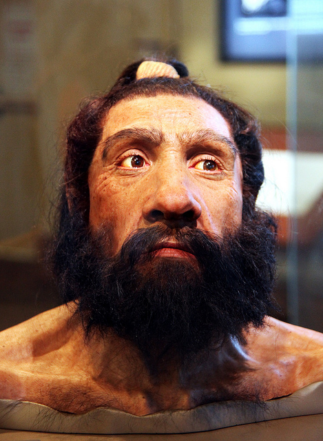 Reconstraction of Neanderthal heads. Source: Flickr, User: Tom Evanson