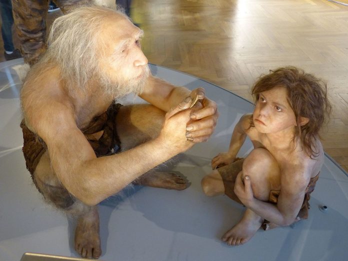 Neanderthal-recontruction-foto-by-Wolfgang Sauber Neanderthal-recontruction-foto-by-Wolfgang Sauber