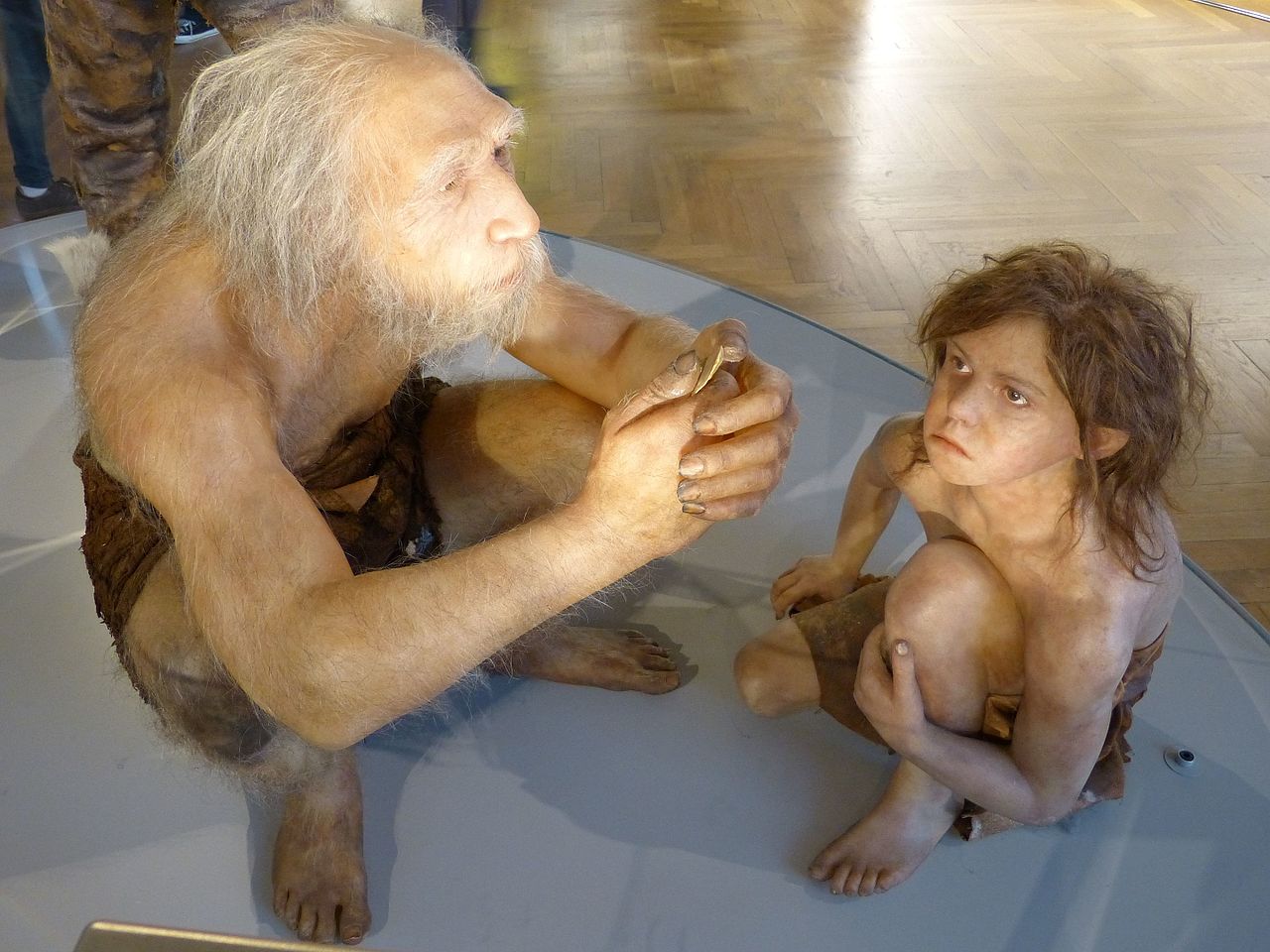 Neanderthal-recontruction-foto-by-Wolfgang Sauber