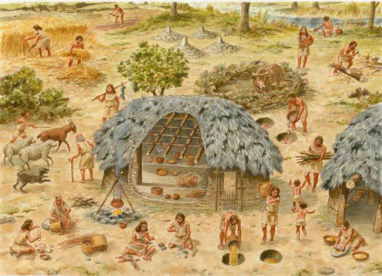 Neolithic Society