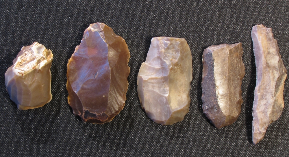 Paleolithic weapons and tools