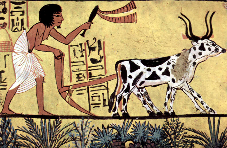 Ploughing with a yoke of horned cattle in Ancient Egypt from the burial chamber of pharaoh Sennedjem