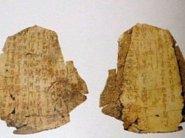 Example of the Shang oracle bones