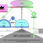The structure of Spartan government. Photo by: www.commons.wikimedia.org/wiki/File:SpartaGreatRhetra.png
