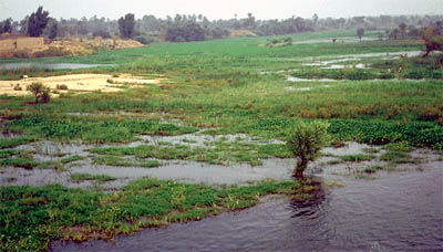 Nile River flooding example