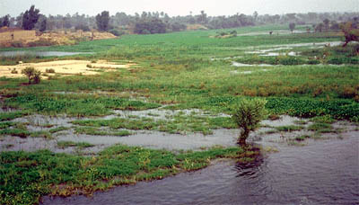 the nile river flooding