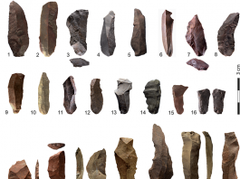 Heated stone tools and weapons from prehistoric period. Source PLOS ONE