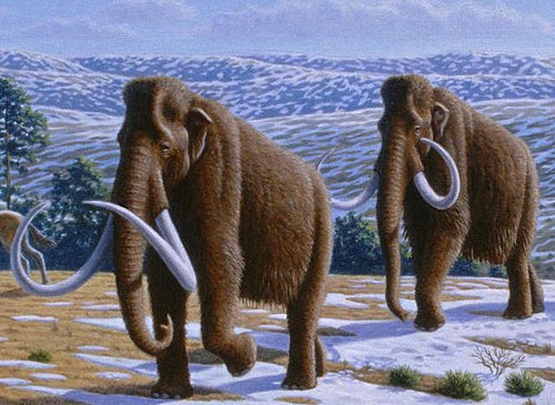 Ice Age – Natural conditions and human appearance