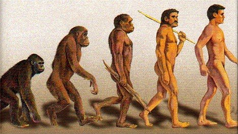 Theories about the origin and evolution of Humans