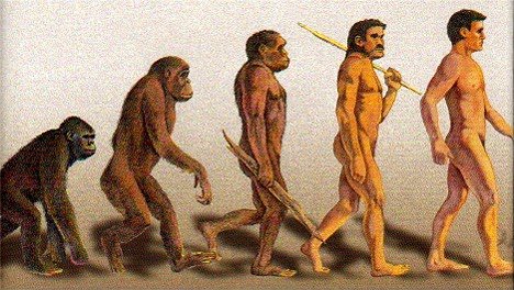 Theory Evolution Manhuman Developmentcromagnon Neanderthaljava Man